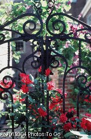 Decorative iron gate